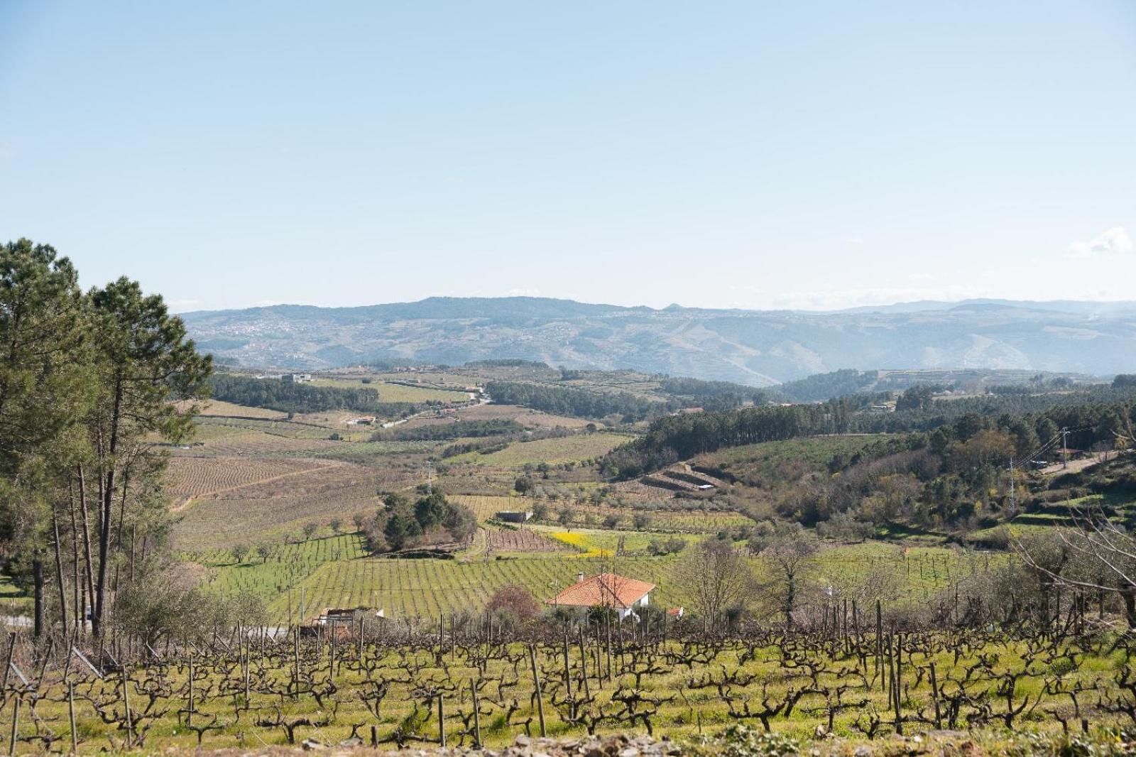 Quinta Da Eira Douro Valley Fermentoes  Exterior foto